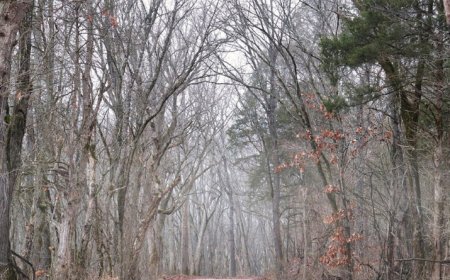 Martes bajo cero: Inumet pronostica mínimas de hasta -4°C, sin precipitaciones