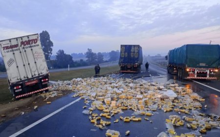 Cientos de latas de cerveza quedaron tiradas en la ruta tras choque entre dos camiones en Canelones