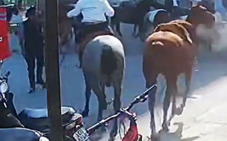 Murió el jinete que fue apuñalado el domingo en Paysandú; el autor está en prisión preventiva