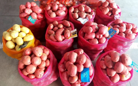 Transición en la oferta de papa: comienzan a aparecer partidas otoñales