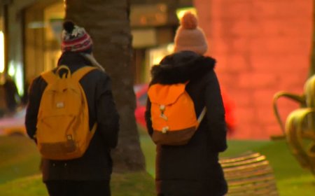 Frío, con heladas, niebla y posibilidad de lluvias aisladas