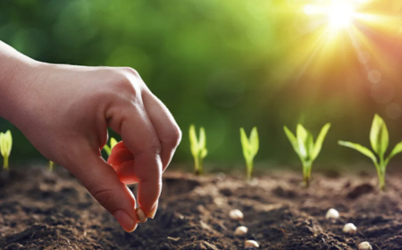 La guerra hizo subir el precio de los fertilizantes