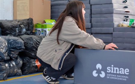 Operativo SINAE: fueron ocupadas 409 plazas, 342 en Montevideo y 67 en el interior