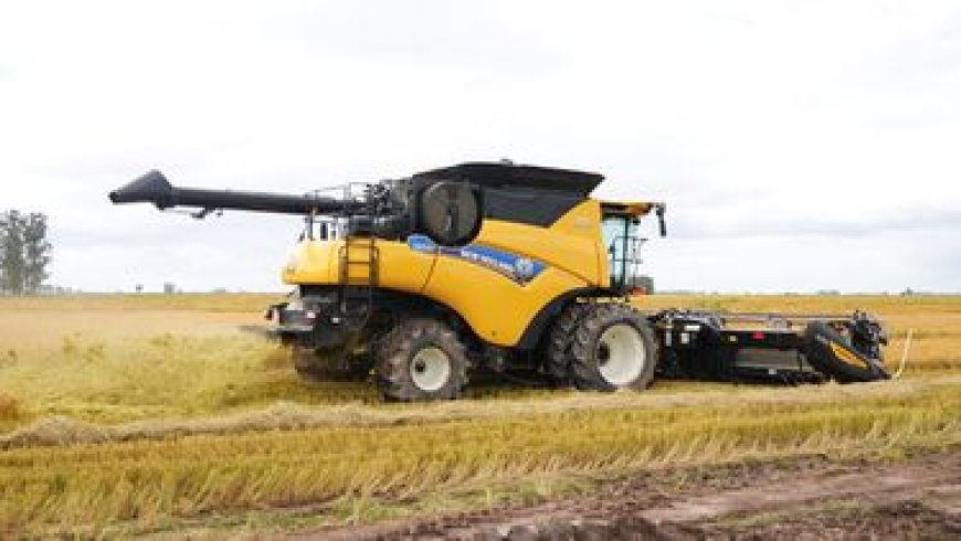 Cosecha de arroz fue la de mayor volumen en la historia del Uruguay