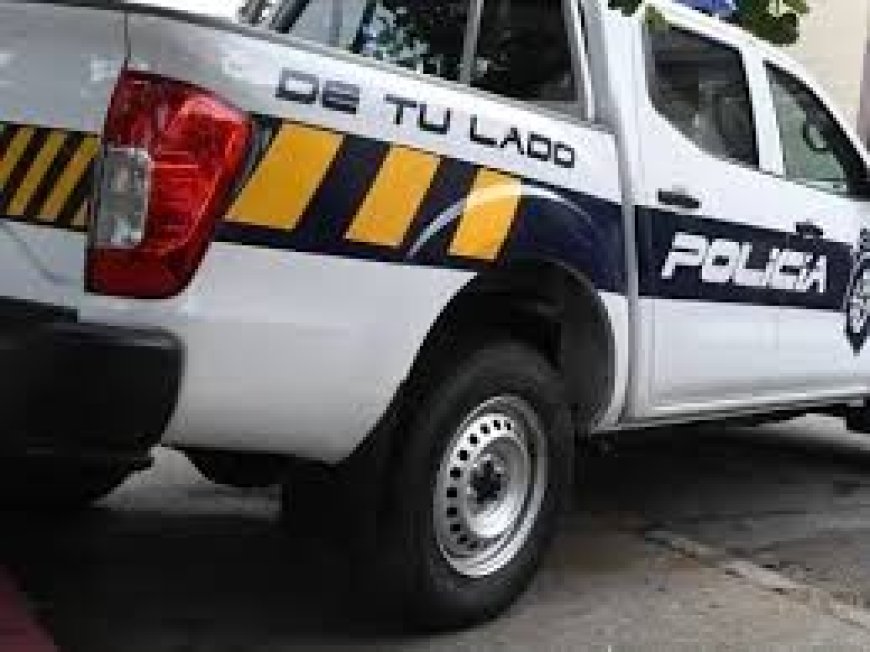 Condenado a 13 meses de prisión bajo libertad a prueba por dañar un móvil policial y agredir a funcionarios