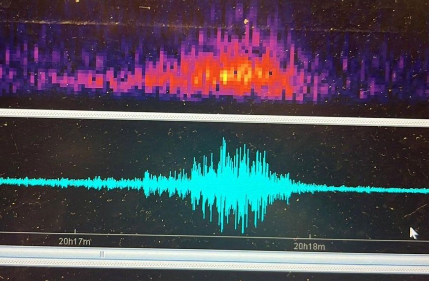 Sismo en Rocha: se sintió como un gran estruendo, un trueno sin tormenta