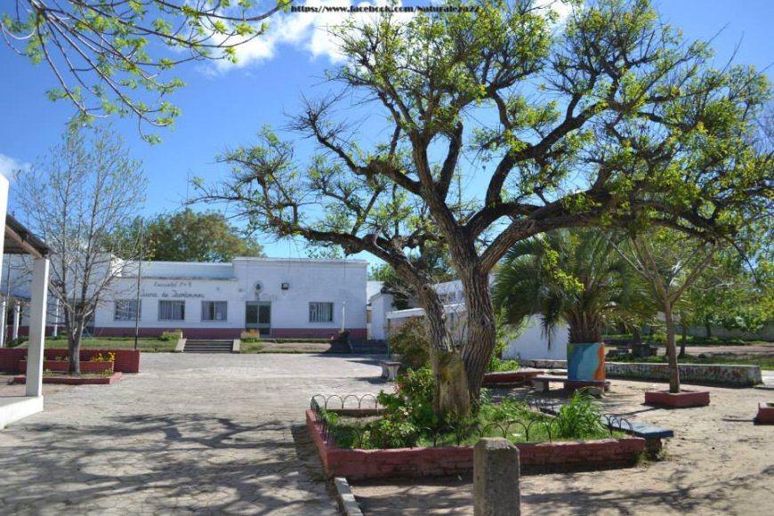 Condenado a prisión por robar en una escuela tras forzar su ingreso en la madrugada