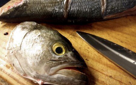 Pesca: conflicto llegó a Torre Ejecutiva, pero aún no hay solución y la flota sigue parada