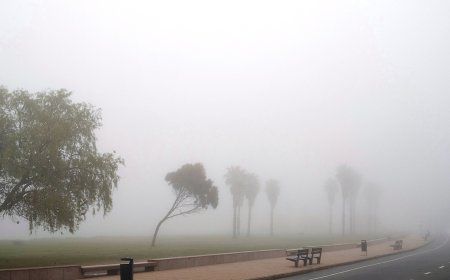 Inumet advierte sobre niebla desde la noche de este viernes hasta media mañana del sábado