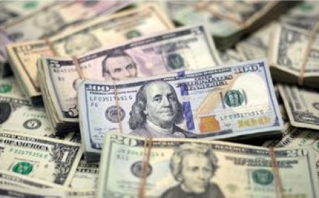 El dólar logró su primera suba semanal en más de un mes