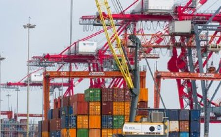 Los precios de las exportaciones industriales siguen en máximos de 2022 con el impulso de la carne