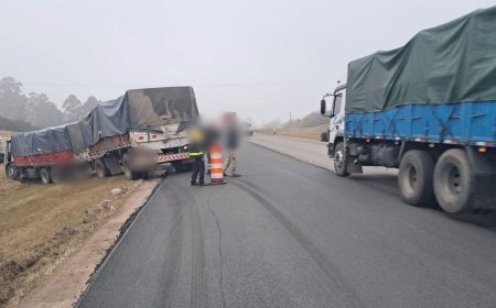 Tránsito enlentecido en los accesos a Montevideo por ruta 5: un camión despistó