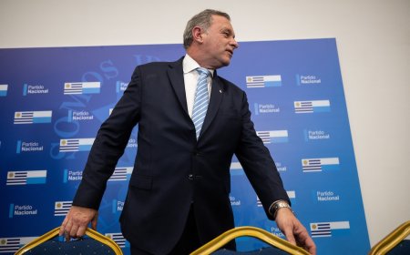 Delgado asumió la presidencia del Partido Nacional