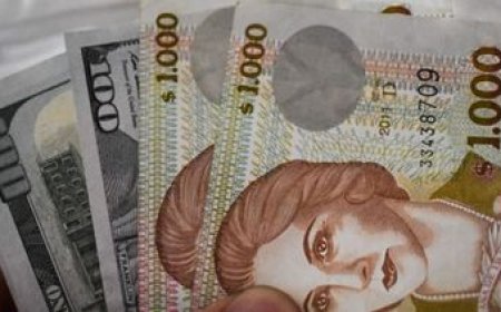 Atraso cambiario: la Federación Rural reclama un dólar 'de equilibrio' a $ 54