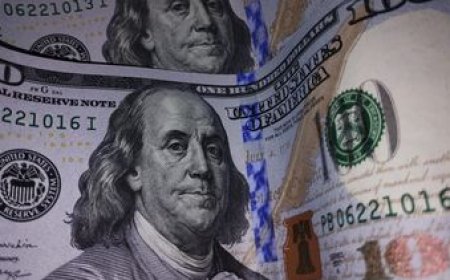 El dólar subió un 3% en dos semanas y mitiga parcialmente las pérdidas del primer semestre