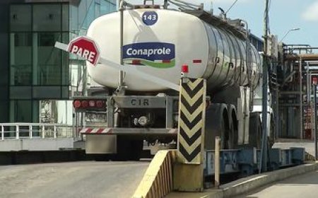 Conflicto en el sector lechero: el gobierno llamó a una reunión tripartita con Conaprole y el sindicato