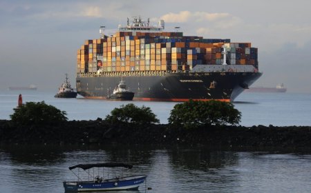 La OMC proyecta un estancamiento del comercio internacional por la guerra de aranceles