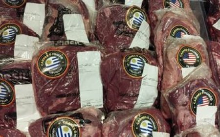 Uruguay exportó su carne a Estados Unidos un 19,2% más cara
