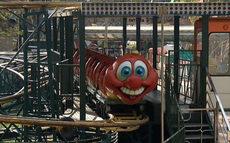 'El personal del juego no estaba capacitado para primeros auxilios', dijo testigo del accidente en el Gusanito Manzana