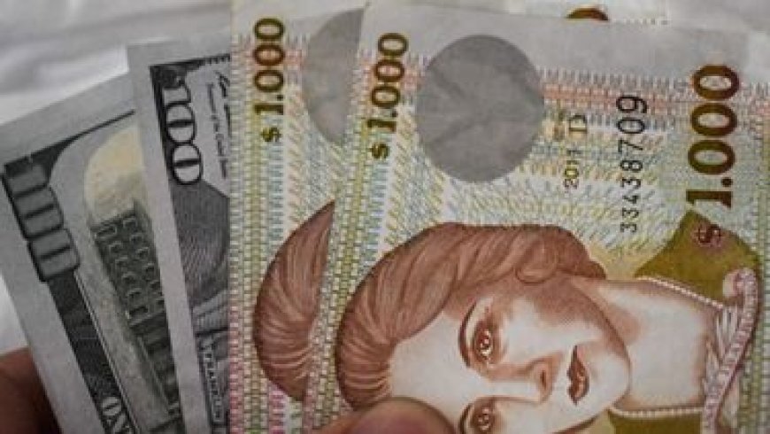 Atraso cambiario: la Federación Rural reclama un dólar 'de equilibrio' a $ 54