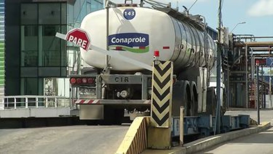 Conflicto en el sector lechero: el gobierno llamó a una reunión tripartita con Conaprole y el sindicato