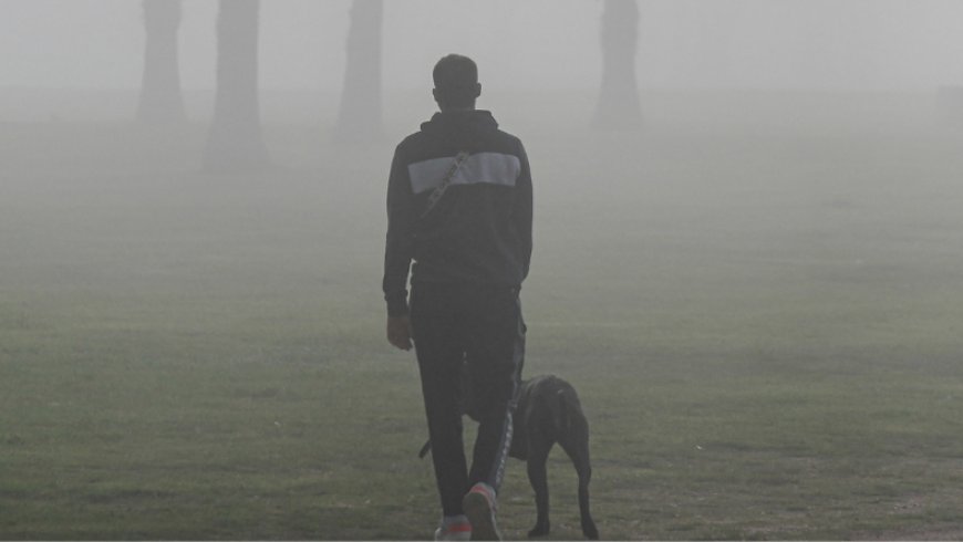 Arranque de semana muy húmedo y con visibilidad de apenas 70 metros
