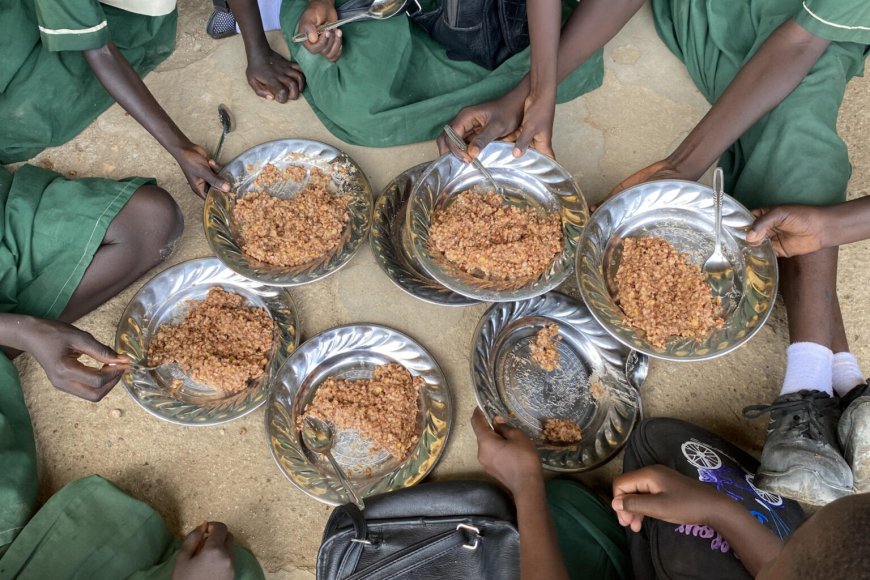 OMS: Más de 3,5 millones de personas están en riesgo de desnutrición en Sudán del Sur