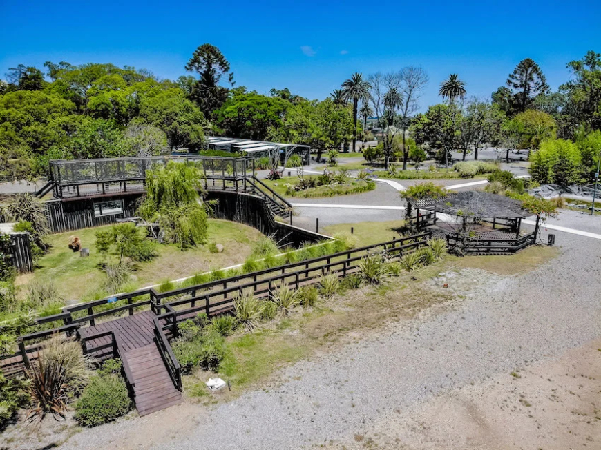 Bioparque abrirá sus puertas durante el feriado del 18 de julio