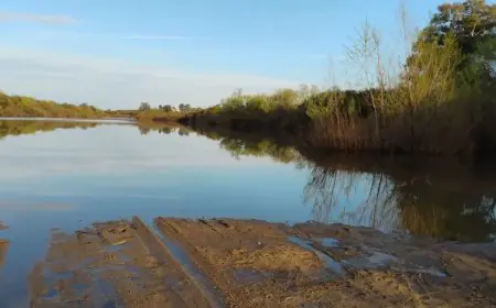 Durazno: condenas por hurto y operativo por ausente hallada sin vida; además, detenido por agravio y cuatro conducidos