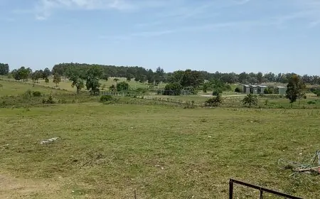 Durazno impulsa nuevo polo deportivo con cancha de césped sintético