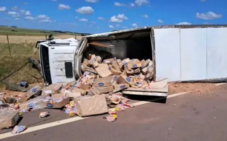 Hallaron camión volcado con carga de presunta procedencia brasileña en Ruta 6; mirá los detalles