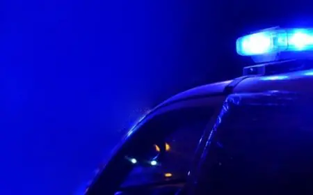 Quiso esconder la droga detrás de un árbol y no le salió bien: dos años de cárcel