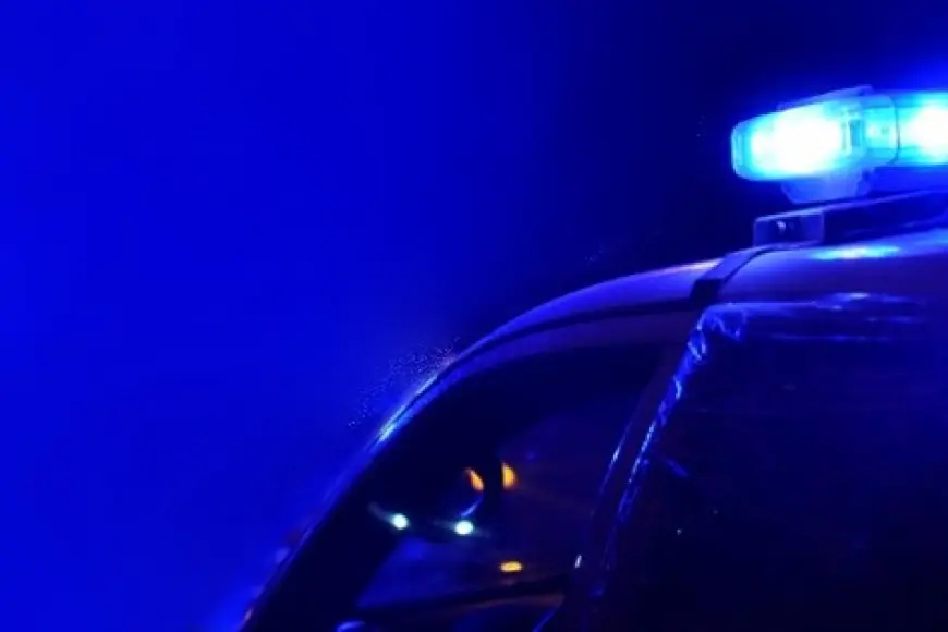 Quiso esconder la droga detrás de un árbol y no le salió bien: dos años de cárcel